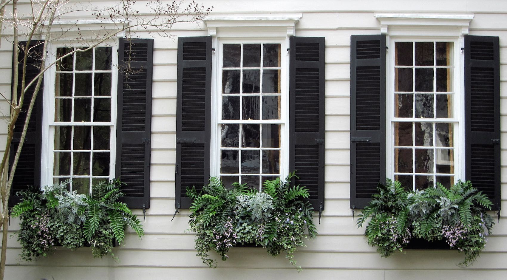 window replacement near me Antioch