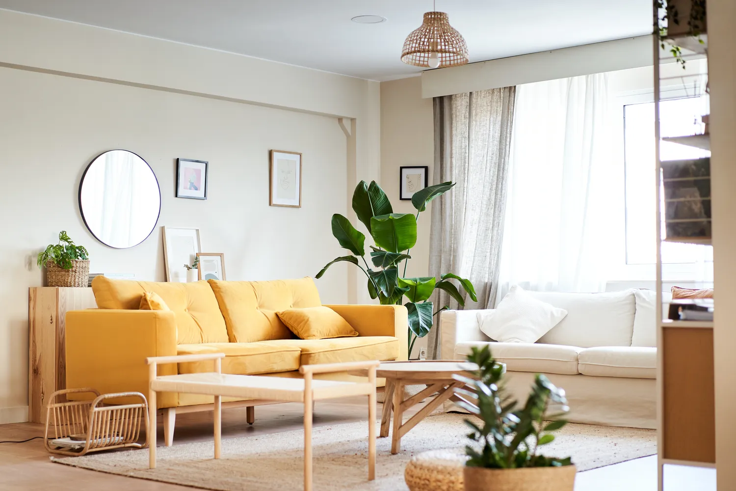 Painters Near You | CTP ECO
