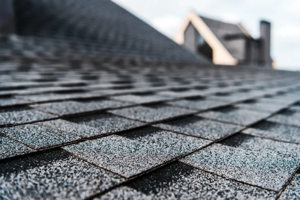 Roof Repair Near You | Lojek Roofing COMPANY