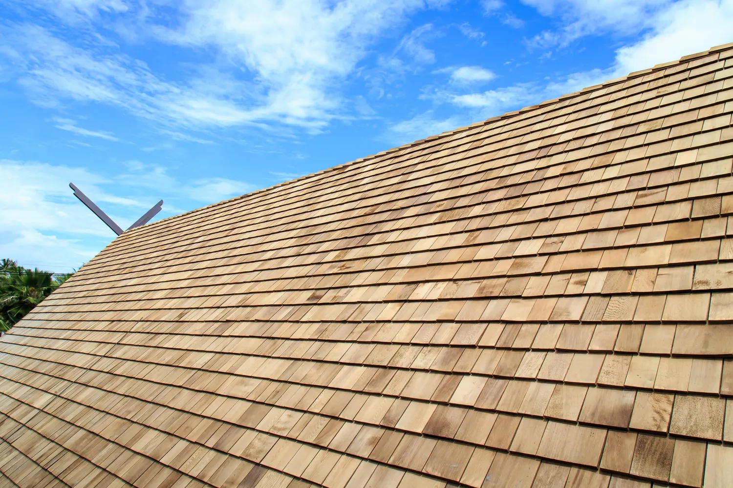 Cedar Roofing Near You | All Roofs Cedar Shake